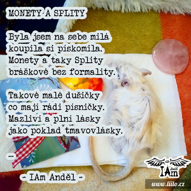 Monety a Splity