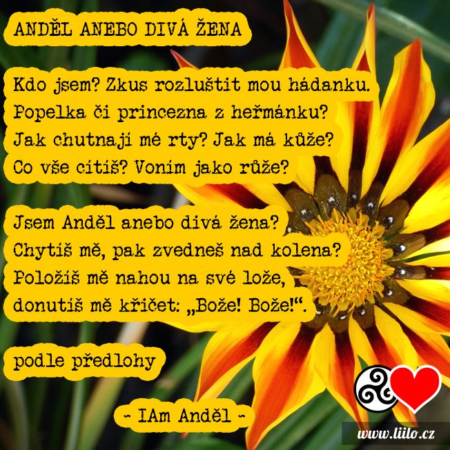 Anděl anebo divá žena