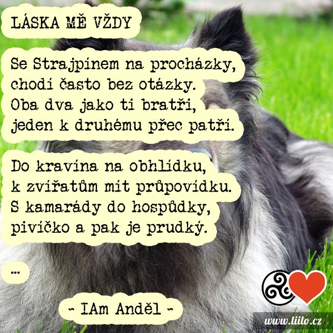 Láska mě vždy